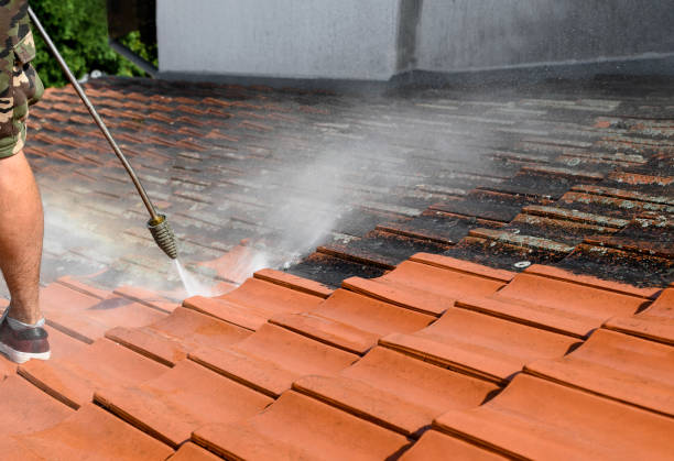 Deck Cleaning Services in Palmer Heights, PA